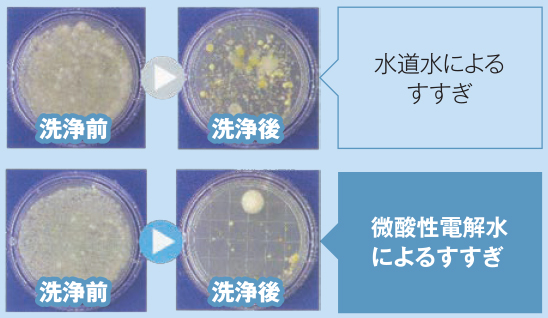 まな板の除菌効果試験画像
